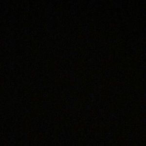 Meet your Posher, Payton